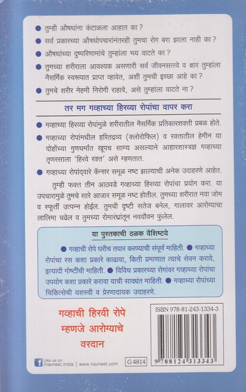 Gavhachi Hirvi Rope (गव्हाची हिरवी रोपे )