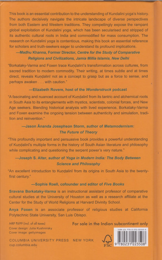 The Serpent's Tale : Kundalini, Yoga, and the History of an Experience