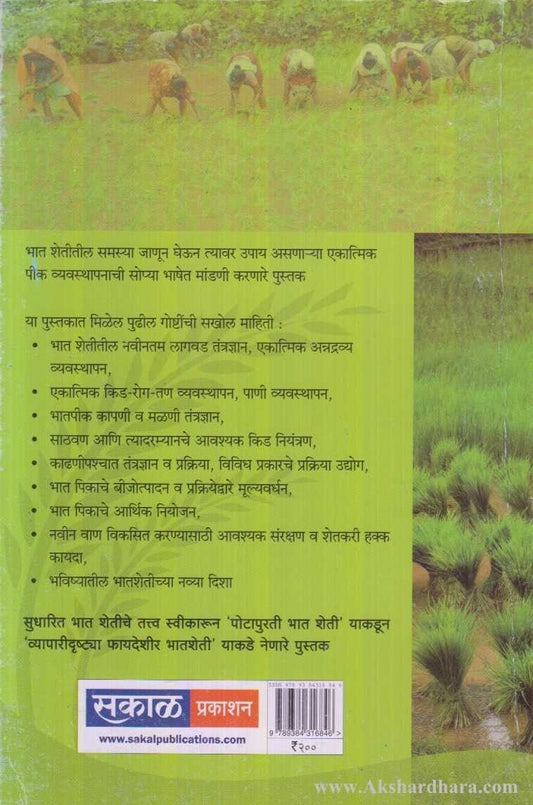 Mharashtratil Bhatsheti (महाराष्ट्रातील भातशेती)