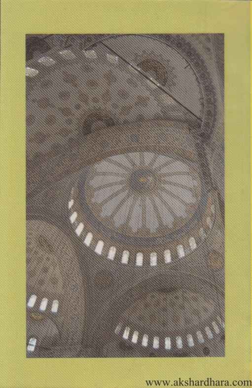 Turkanama (तुर्कनामा) By Meena Prabhu