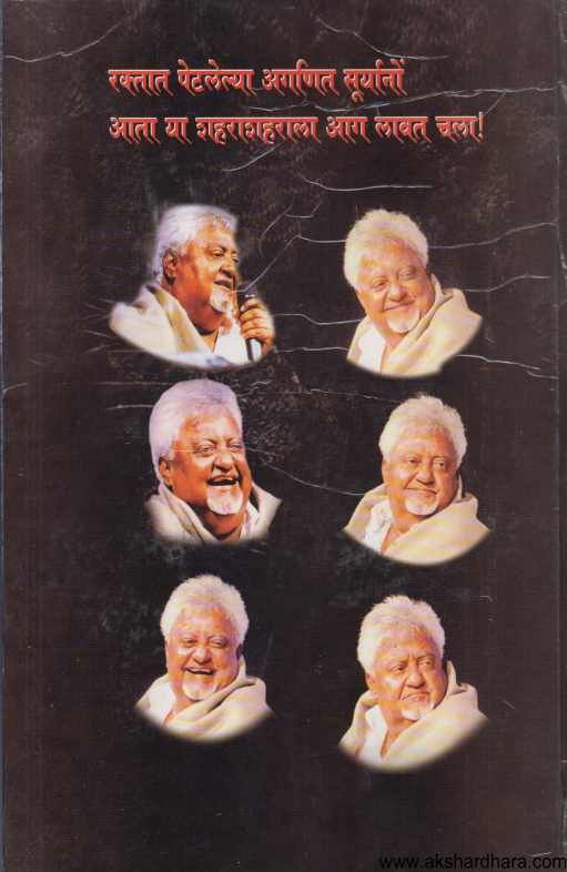 Samagra Namdev Dhasal ( समग्र नामदेव ढसाळ २ )