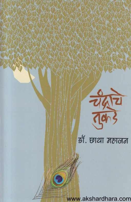 Chandrache Tukade (चंद्राचे तुकडे )