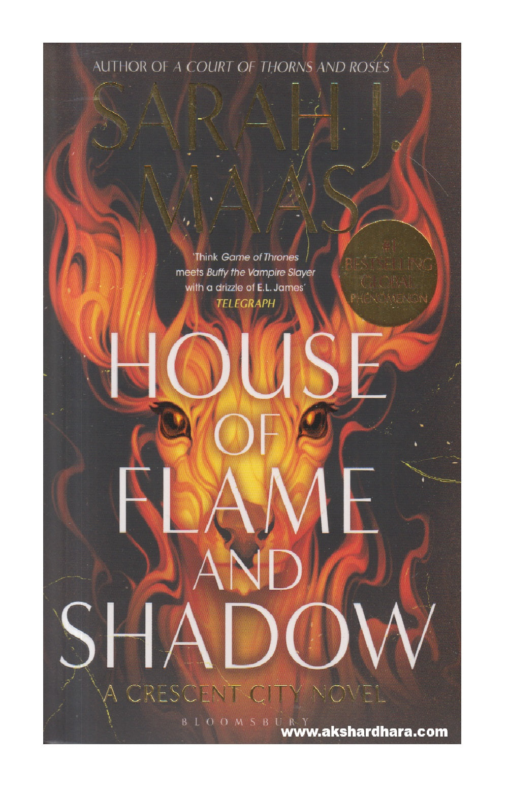 House of Flame and Shadow