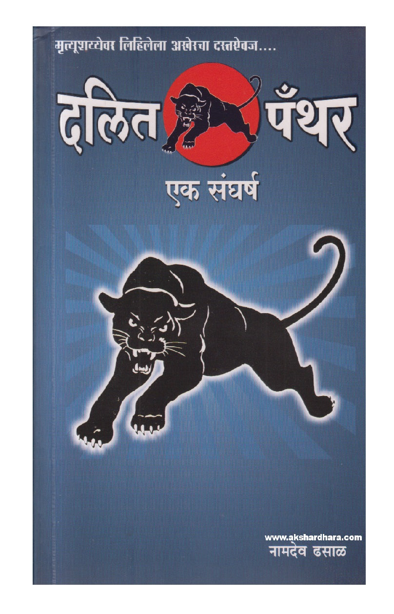 Dalit Panther Ek Sangharsh ( दलित पँथर एक संघर्ष )