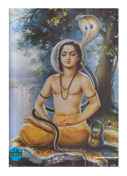 Sarth ShriEknathi Bhagvat  ( सार्थ श्री एकनाथी भागवत )