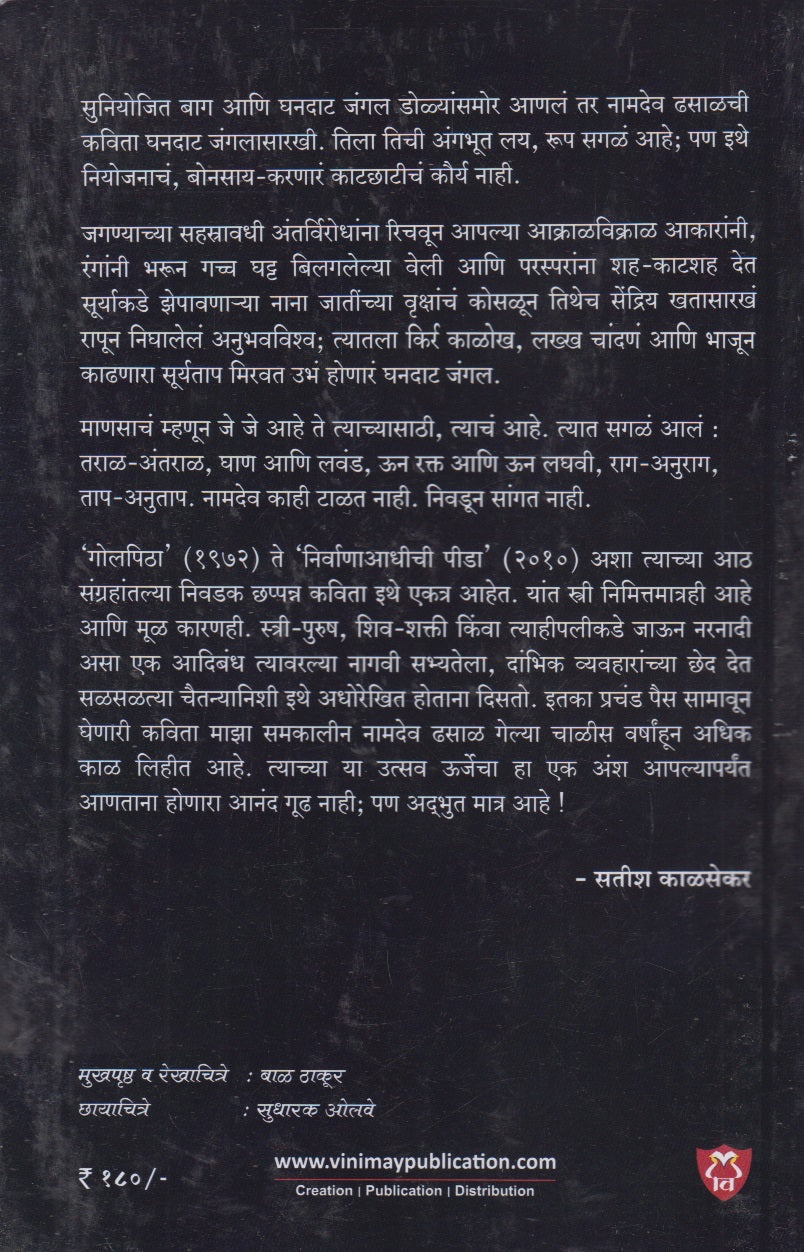 Chindhyanchi Devi Aani Itar Katha (चिंध्यांची देवी आणि इतर कथा)