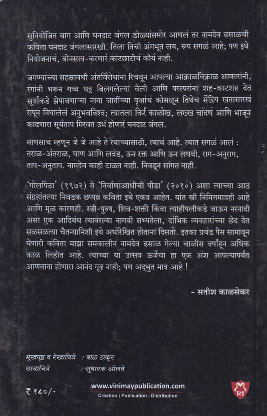 Chindhyanchi Devi Aani Itar Katha (चिंध्यांची देवी आणि इतर कथा)