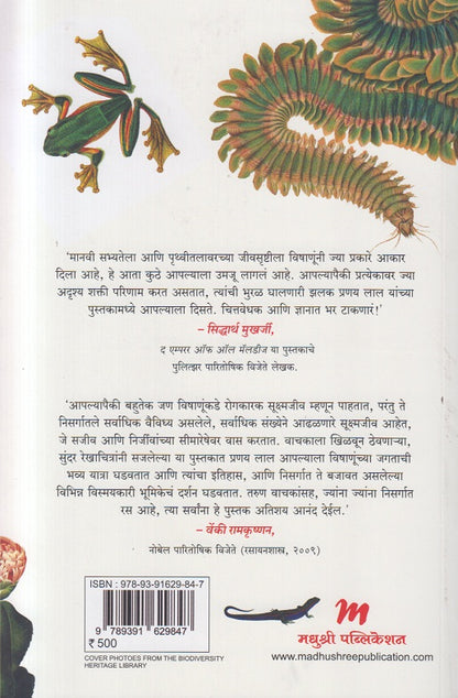 Drushti Adachi srushti ( दृष्टी आडची सृष्टी )