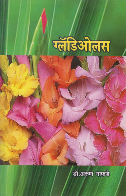 GLADIOLAS (ग्लॅडिओलस)