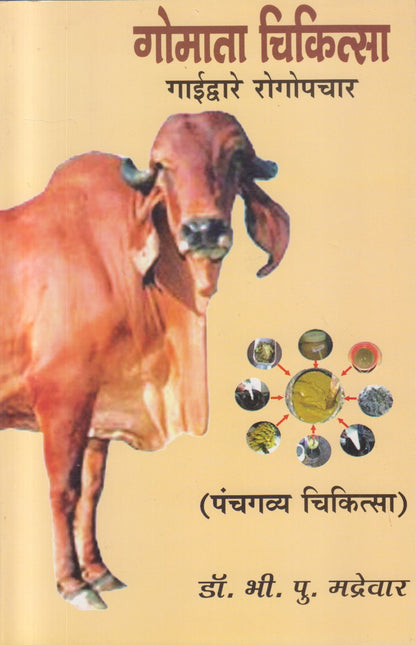Gomata Chikitsa (गोमाता चिकित्सा)