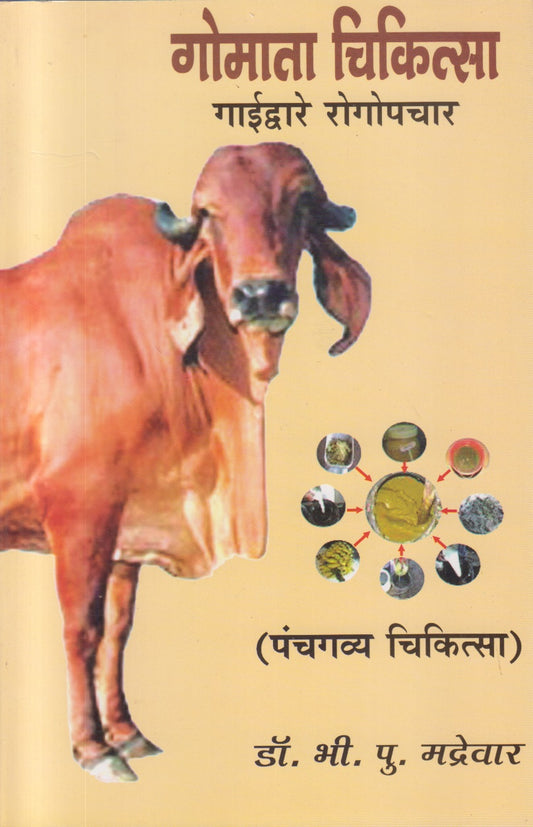 Gomata Chikitsa (गोमाता चिकित्सा)