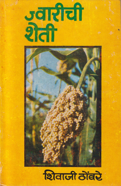 Jwarichi Sheti (ज्वारीची शेती)