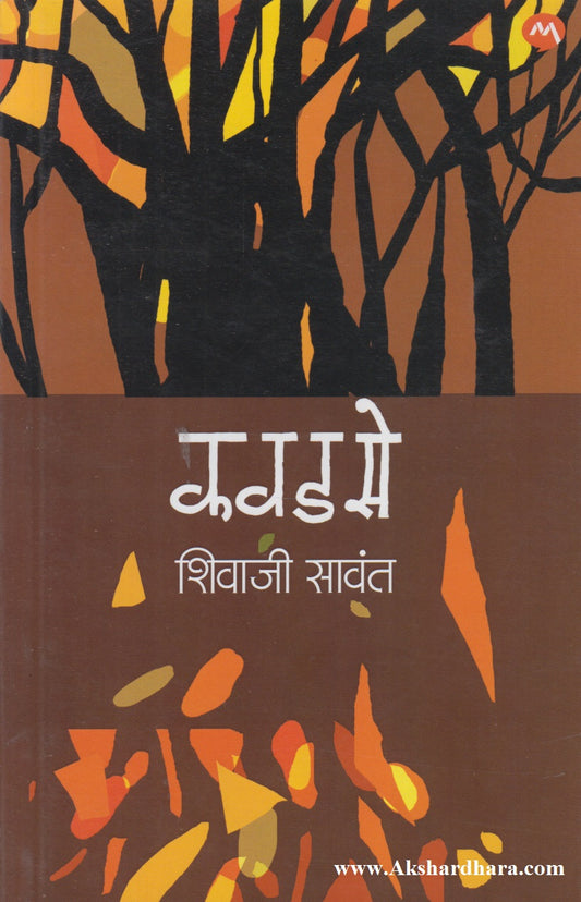 Kavadase (कवडसे)