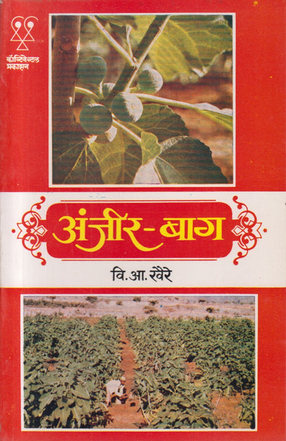 Anjir - Baag (अंजीर - बाग)