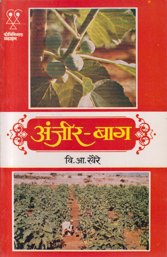 Anjir - Baag (अंजीर - बाग)