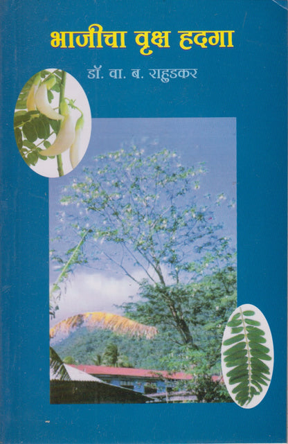 Bhajipala Vruksh Hadaga (भाजीचा वृक्ष हदगा)