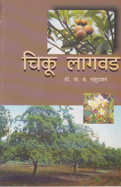 Chiku Lagavad (चिकू लागवड)