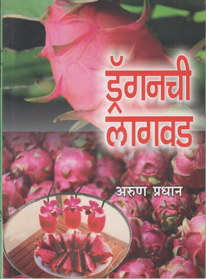 DRAGANACHI LAGAVAD  (ड्रॅगनची लागवड)