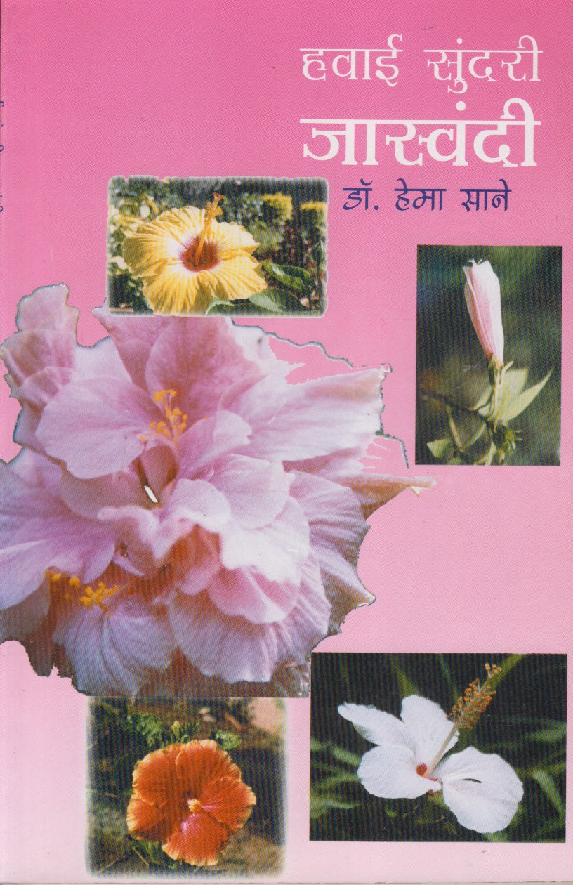 Havai Sundari Jaswandi (हवाई सुंदरी जास्वंदी)