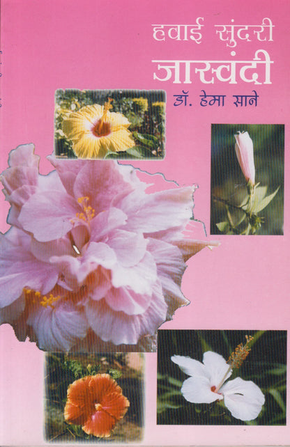 Havai Sundari Jaswandi (हवाई सुंदरी जास्वंदी)