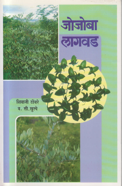 Jojoba Lagavad (जोजोबा लागवड)