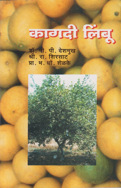 Kagadi Limbu (कागदी लिंबू)