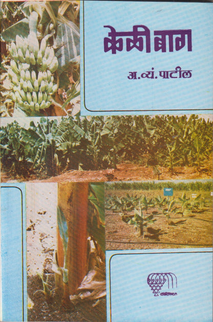 Keli Baag (केळी बाग)