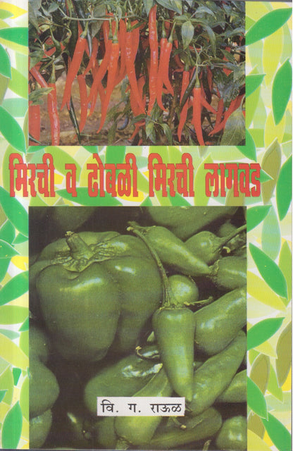 Mirchi V Dhobali Mirchi Lagavad (मिरची व ढोबळी मिरची लागवड)