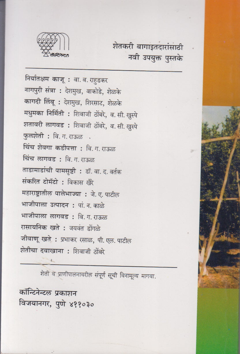 Nagpuri Santra (नागपुरी संत्रा)