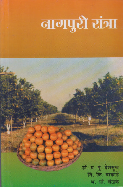 Nagpuri Santra (नागपुरी संत्रा)