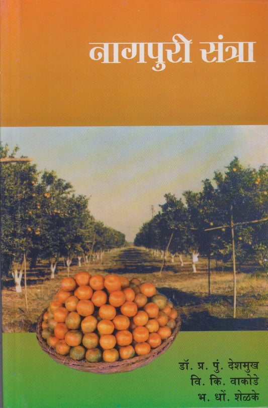 Nagpuri Santra (नागपुरी संत्रा)