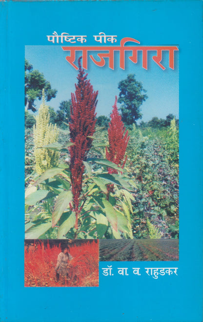Paushtik Pik Rajagira (पौष्टिक पीक राजगिरा)