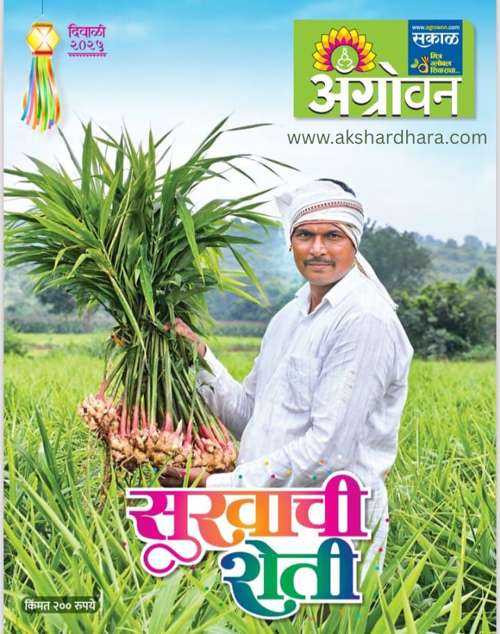 Sakal Agrowan Diwali Ank 2025 (सकाळ अ‍ॅग्रोवन दिवाळी अंक 2025)