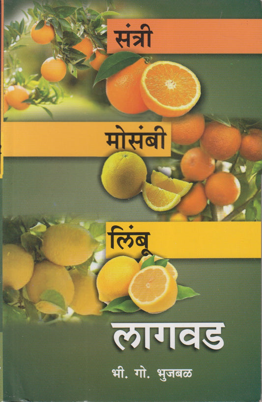 Santri, Mosambi, Limbu Lagvad (संत्री, मोसंबी, लिंबू, लागवड)