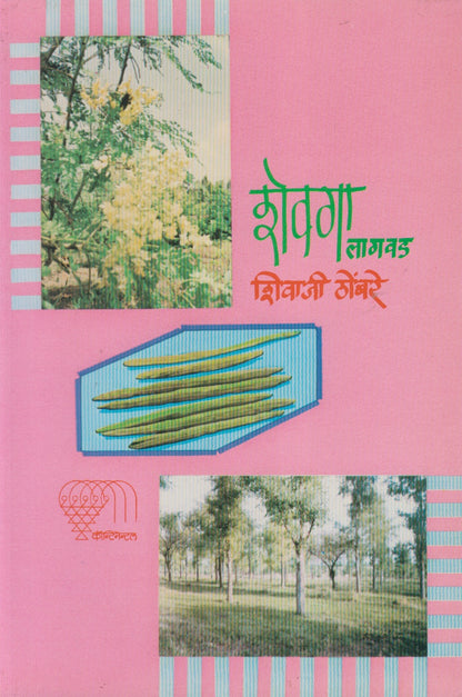 Shevga Lagavd (शेवगा लागवड)