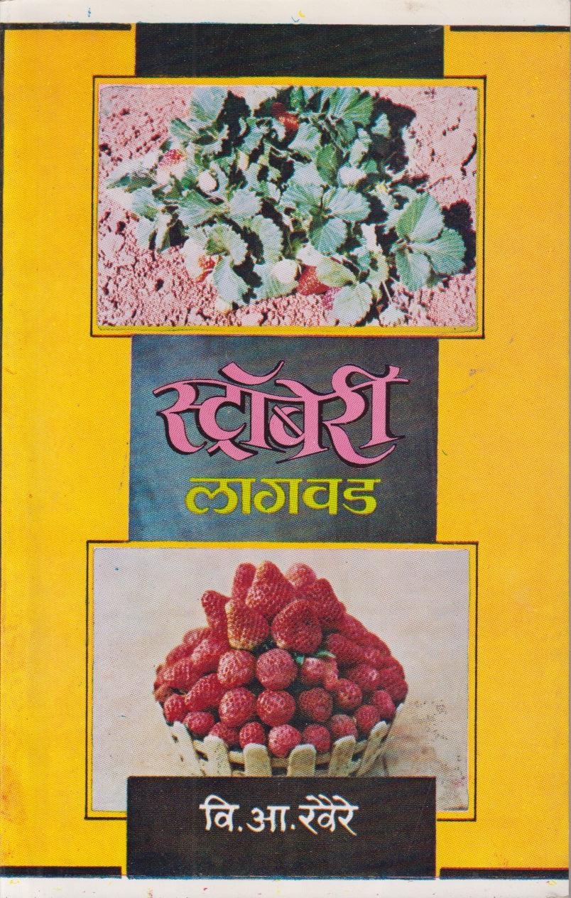 strawberry Lagavad (स्ट्रॉबेरी लागवड)