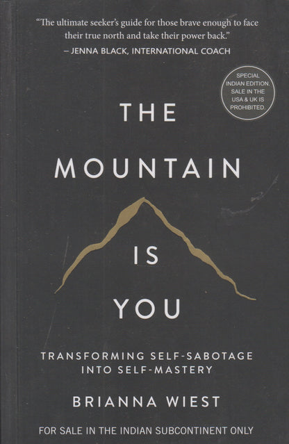 THE MOUNTAIN IS YOU