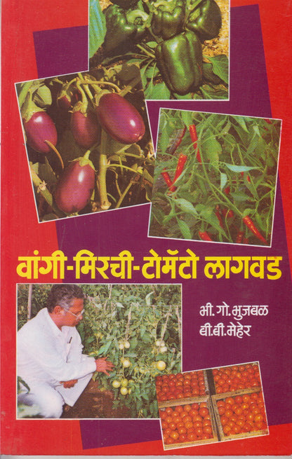 Vangi-Mirachi-Tomato Lagavad (वांगी-मिरची-टोमॅटो लागवड)