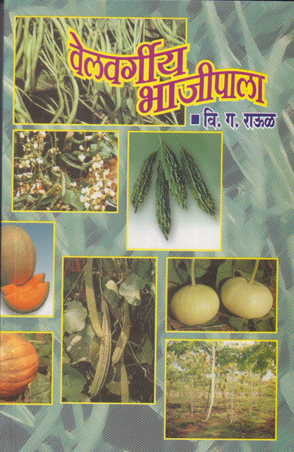 Velvargiy Bhajipala (वेलवर्गीय भाजीपाला)