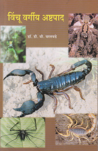 Vinchu Vargiy Ashtapad (विंचू वर्गीय अष्टपाद)