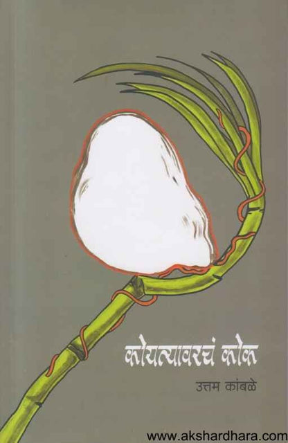 Koyatyavarcha Kok (कोयत्यावरचं कोक)