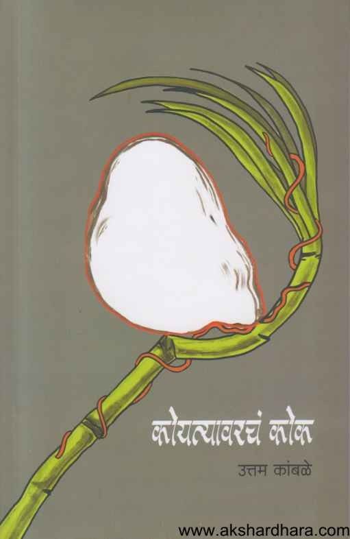 Koyatyavarcha Kok (कोयत्यावरचं कोक)