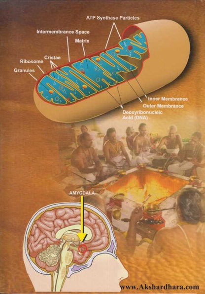 Sanjeevani Mantra Aani DNA (संजीवनी मंत्र आणि डी एन ए)