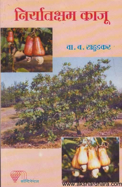 Niryatksham Kaju( निर्यातक्षम काजू )