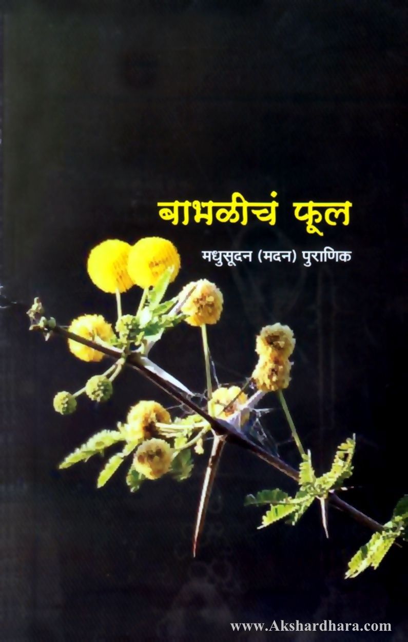 Babhalicha Phool (बाभळीच फुल)