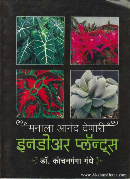 Manala Anand Denari Indoor Plants