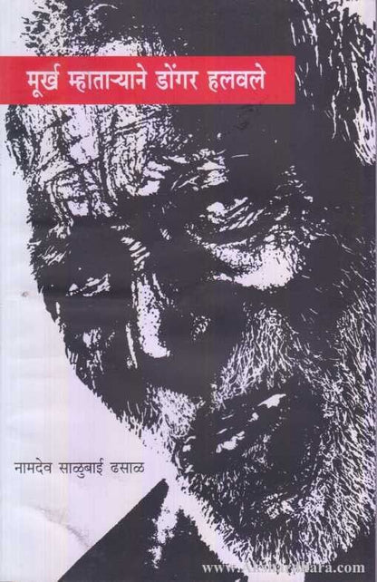 Murkha Mhataryane Dongar Halavle