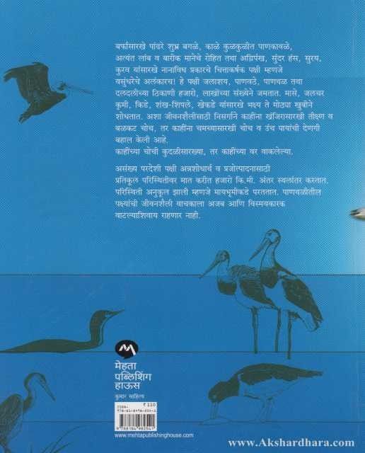 Panthalitale Pakshi (पाणथळीतले पक्षी)