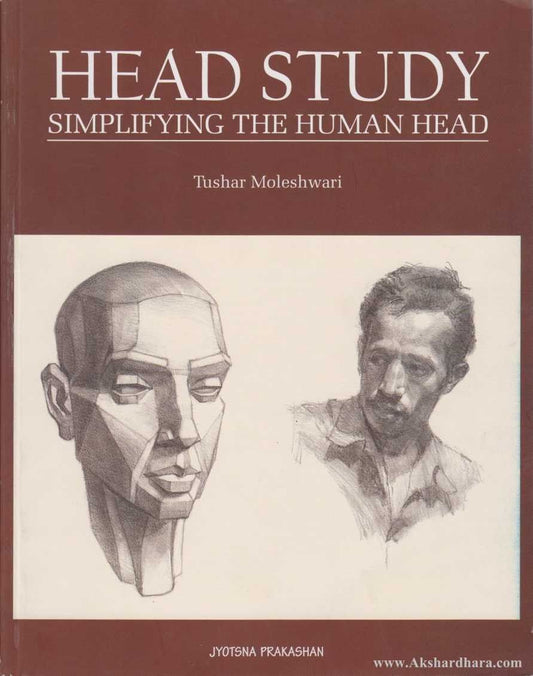 Head Study Simplifying The Human Head