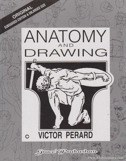 Anatomy And Drawing